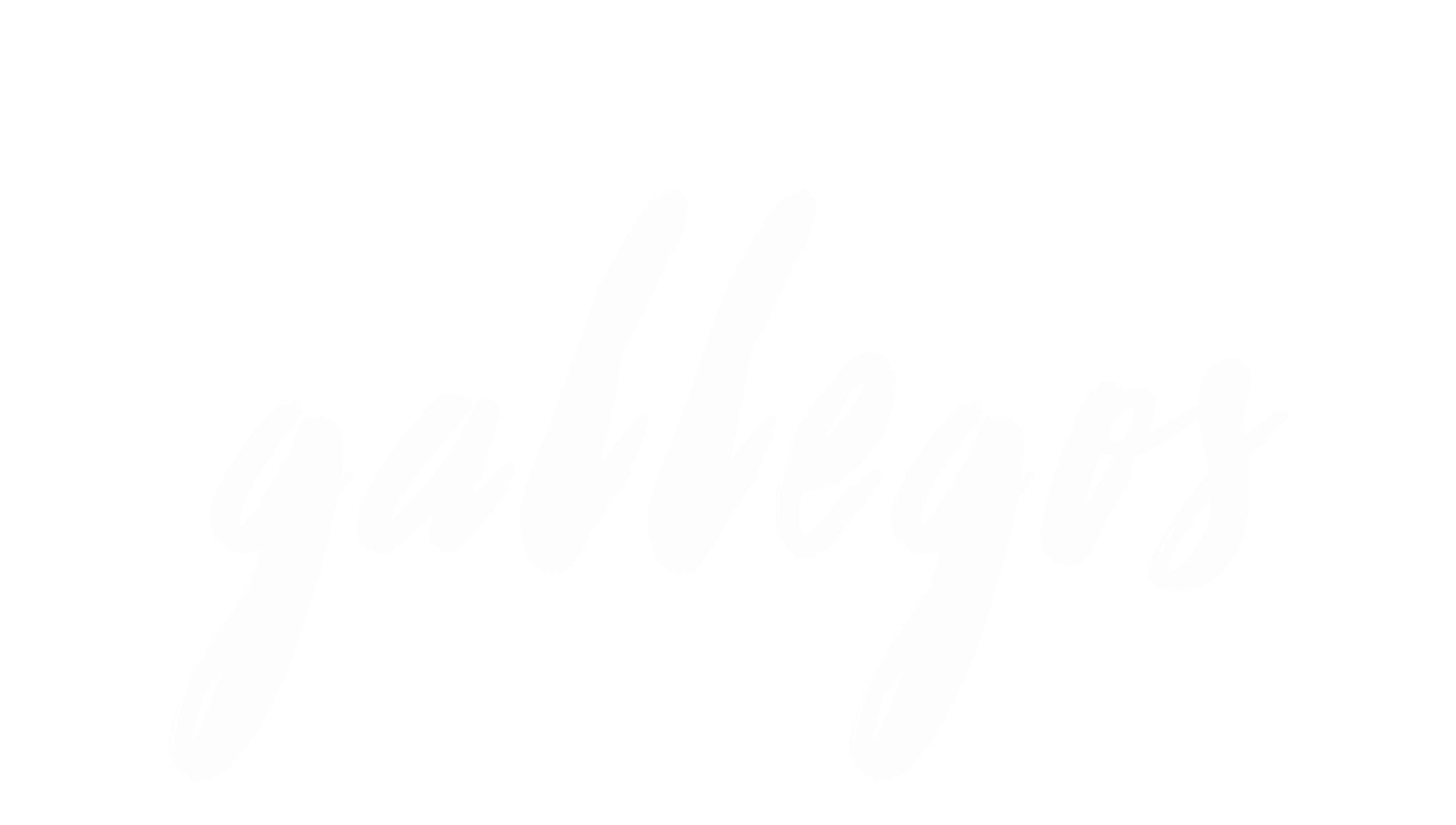 Flavio Gallegos